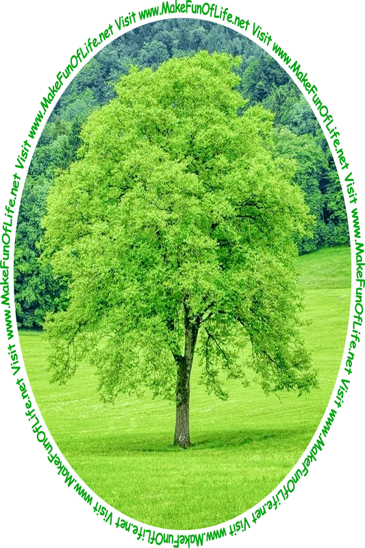 Picture of a tall green leafy tree in a green grassy area with a woods of green leafy trees in the distance and the words, 'Visit www.MakeFunOfLife.net.'