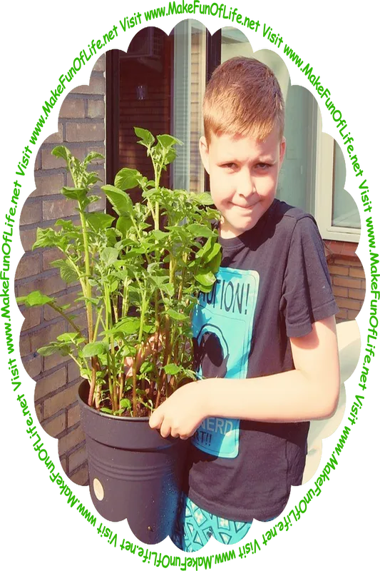 Picture of a happy smiling boy carrying a large potted potato plant with dark green leaves, and the words, ‘Visit www.MakeFunOfLife.net.’