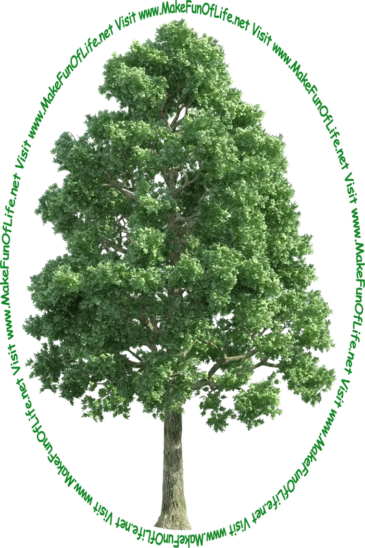 Picture of a tall leafy green tree and the words, 'Visit www.MakeFunOfLife.net.'