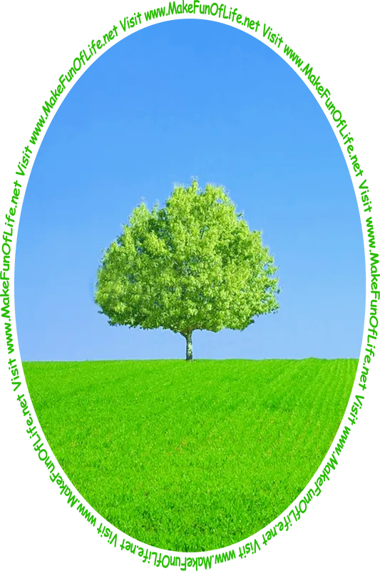Picture of a green leafy tree in a green grassy field with a clear blue sky above and the words, 'Visit www.MakeFunOfLife.net.'