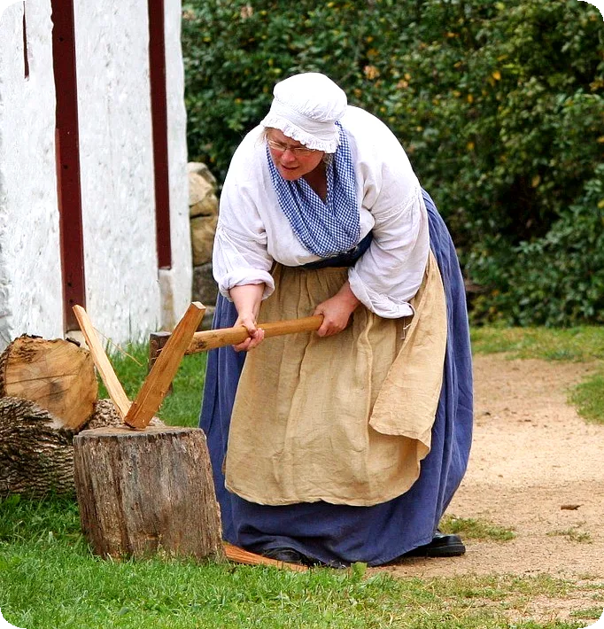 Picture
