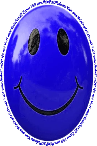 Picture of a smiley face and the words, ‘Visit www.MakeFunOfLife.net.’