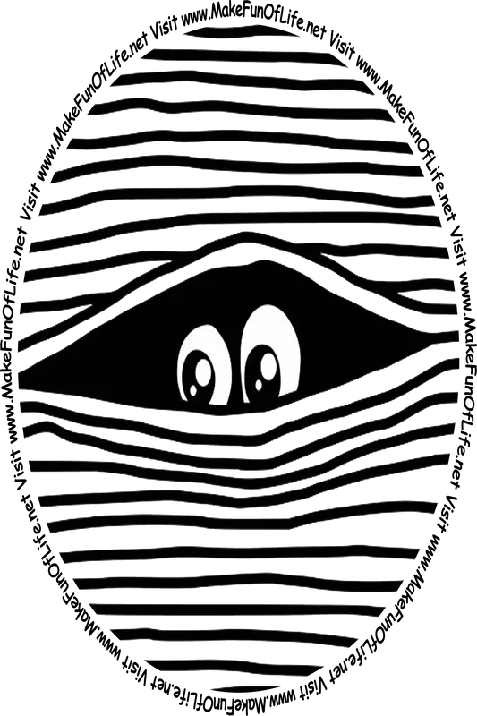 Picture of two fearful eyes looking out from between bent window blinds, and the words, 'Visit www.MakeFunOfLife.net.'