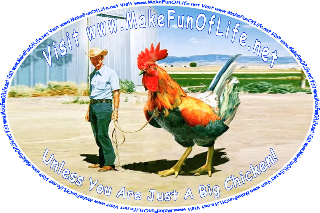 Picture of a man wearing a cowboy hat and holding a leash attached to a red rooster that is slightly taller than he is, and the words, ‘Visit www.MakeFunOfLife.net - Unless, Of Course, You Are Just A Big Chicken.’