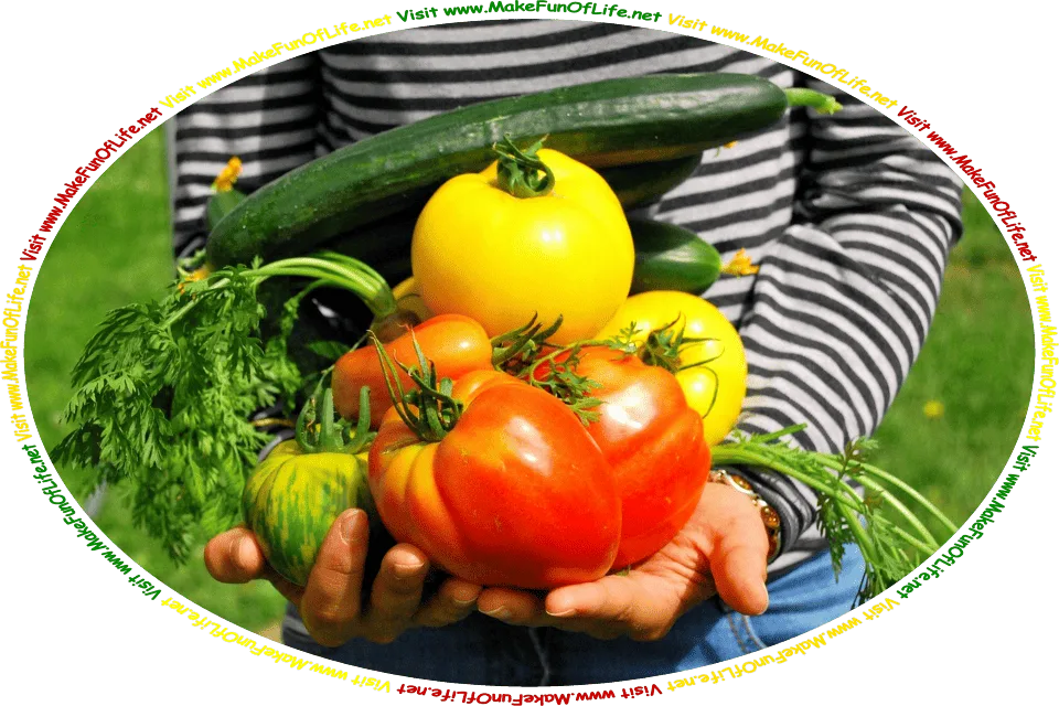 Picture of a person holding red tomatoes, yellow tomatoes, carrots, and cucumbers from a vegetable garden, and the words, ‘Visit www.MakeFunOfLife.net.’