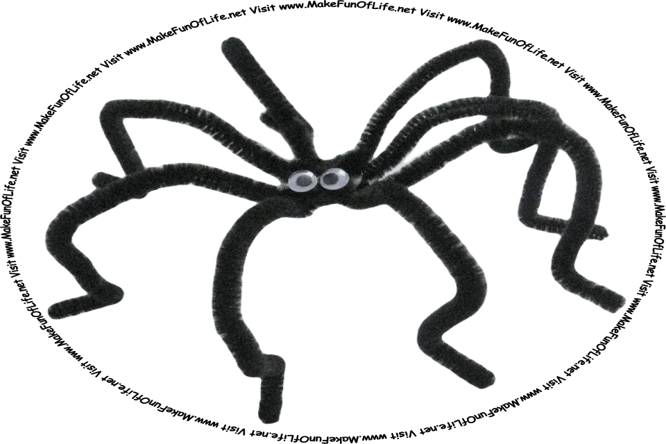 Picture of a spider, and the words, ‘Visit www.MakeFunOfLife.net.’