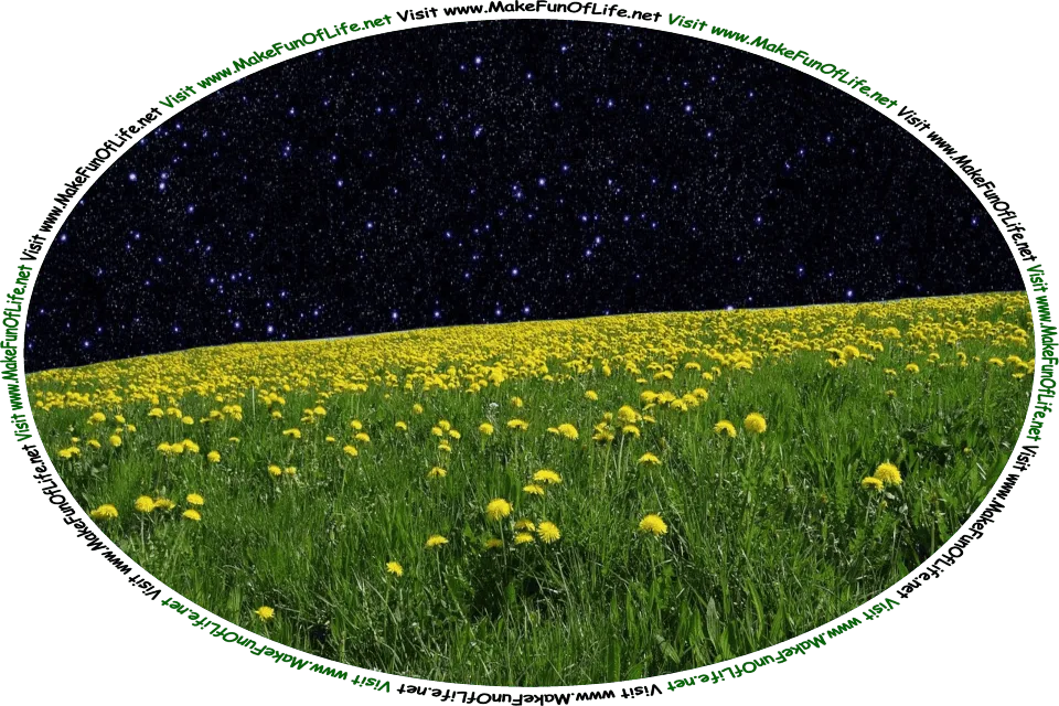 Picture of a field of dandelions with dark green leaves and bright yellow blossoms under a nighttime sky filled with stars, and the words, ‘Visit www.MakeFunOfLife.net.’