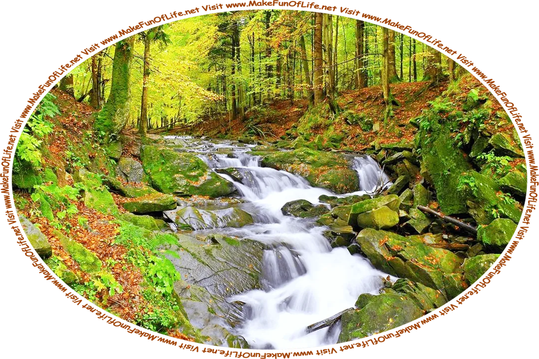 Picture of a stream running down a slope over large dark green moss-covered rocks in a dense woods with green leafy trees that are beginning to change to early Autumn colors of yellow, orange, and red, and the words, ‘Visit www.MakeFunOfLife.net.’