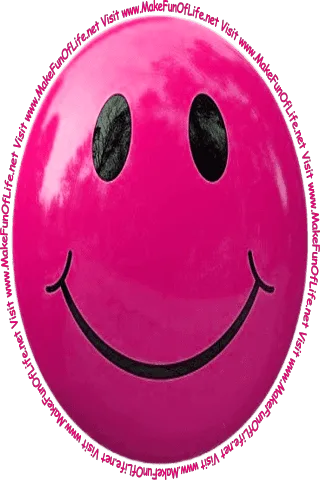 Picture of a smiley face and the words, ‘Visit www.MakeFunOfLife.net.’