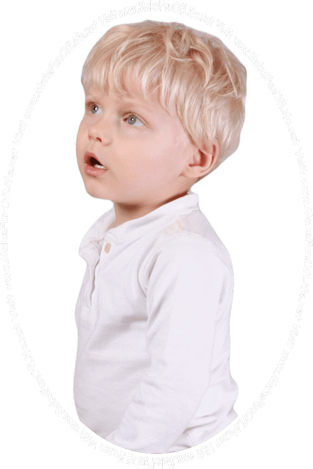 Picture of a young boy looking at the words and pictures on the website and the words, 'Visit www.MakeFunOfLife.net.'