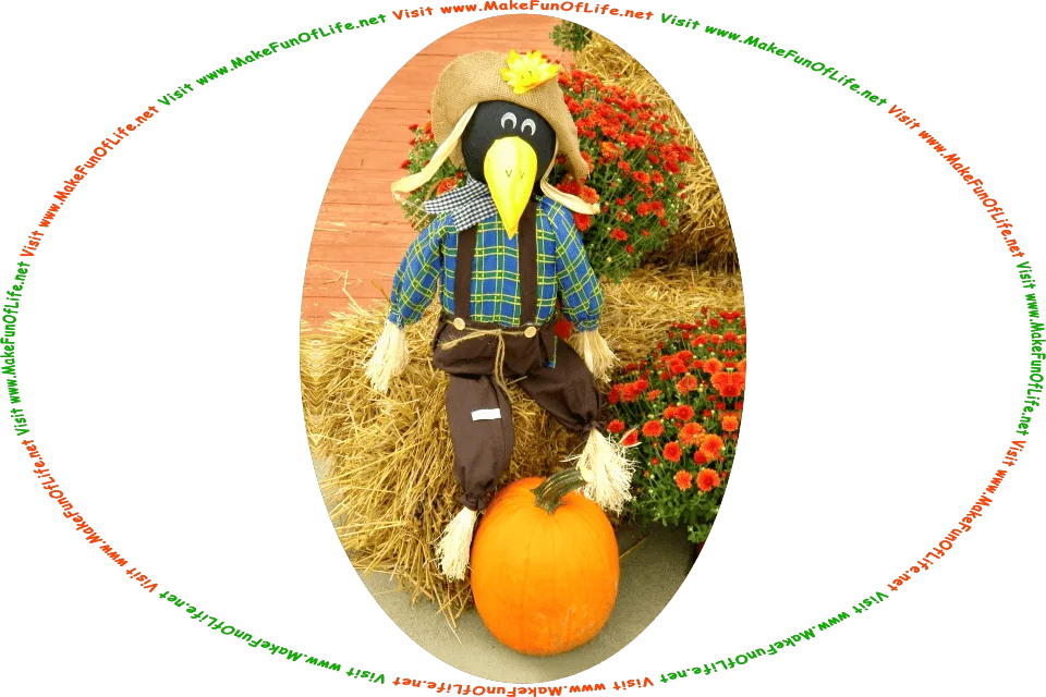 Picture of a crow as a scarecrow, or a silly scarecrow made from a straw-stuffed pair of pants and shirt, a head that looks like a black crow with a beak, and the words, Visit www.MakeFunOfLife.net.