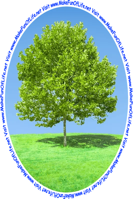 Picture of a green leafy tree in a green grassy field with a clear blue sky overhead and the words, 'Visit www.MakeFunOfLife.net.'