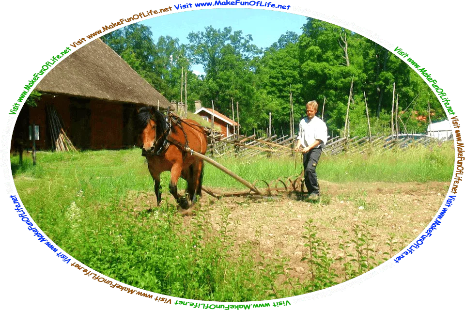 Picture of a of a man behind a plow being pulled by a horse over a field, and the words, ‘Visit www.MakeFunOfLife.net.’