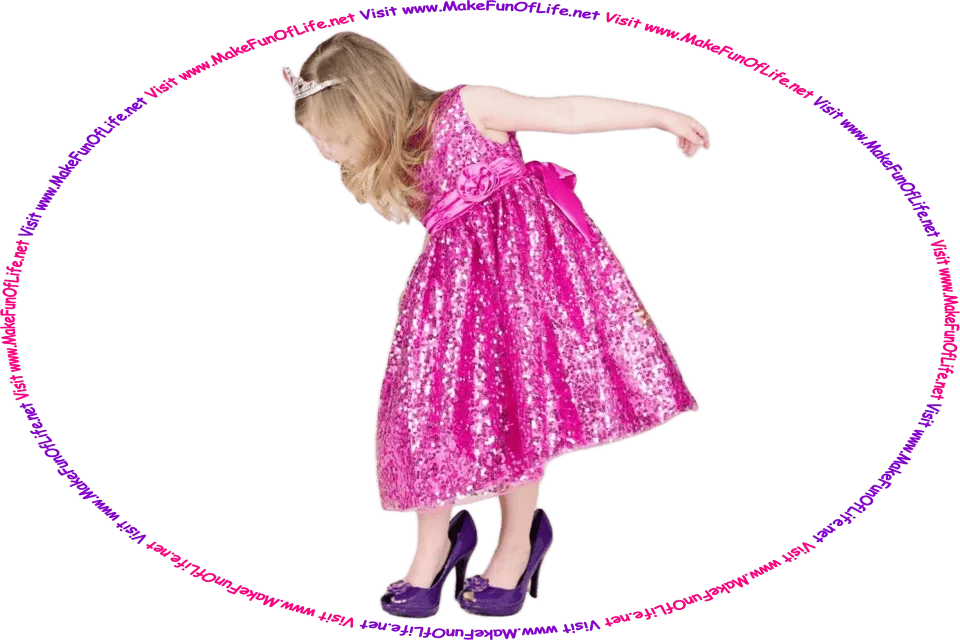 Picture of a girl playing dress up with oversized purple shoes, a pink sequin-covered dress, and a tierra, and the words, ‘Visit www.MakeFunOfLife.net.’