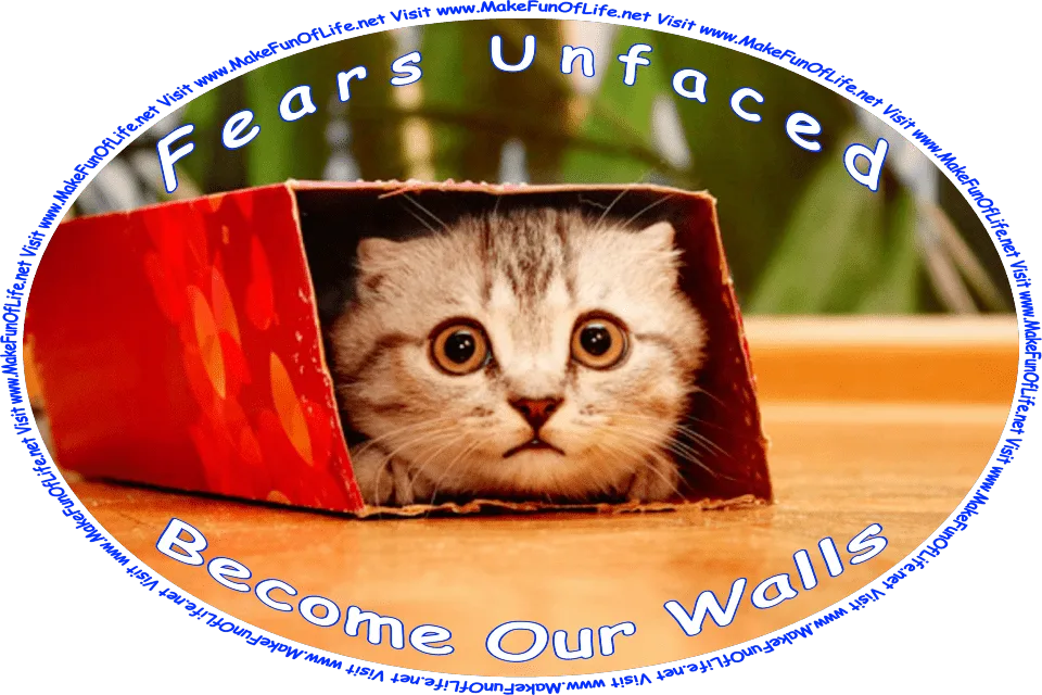 Picture of a frightened-looking kitten peering out from inside a cardboard box, and the words, ‘“Fears unfaced become our walls.” -Author Unknown - Visit www.MakeFunOfLife.net.’
