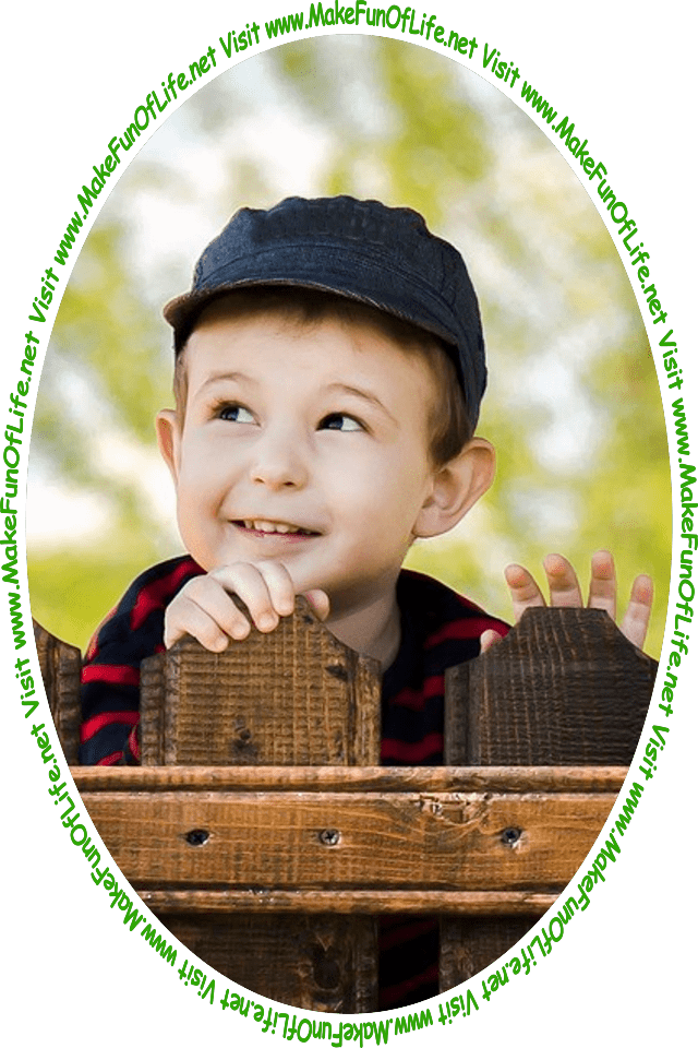 Picture of a boy looking over a wooden fence to see the words and pictures on the website, and the words, 'Visit www.MakeFunOfLife.net.'