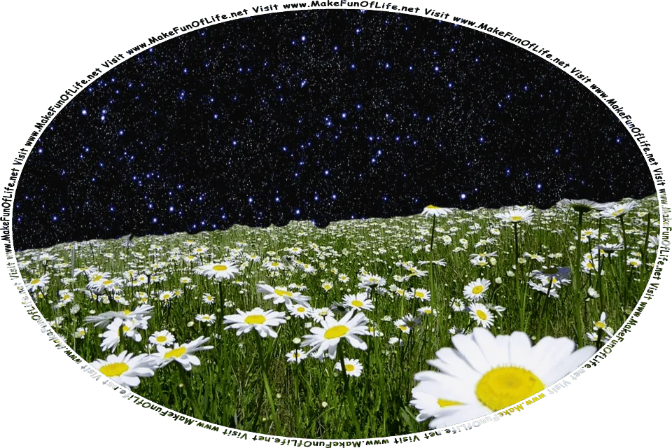 Picture of a meadow of daisies, blossoming with long white petals and yellow centers, under a sky-filled night sky, and the words, Visit www.MakeFunOfLife.net.