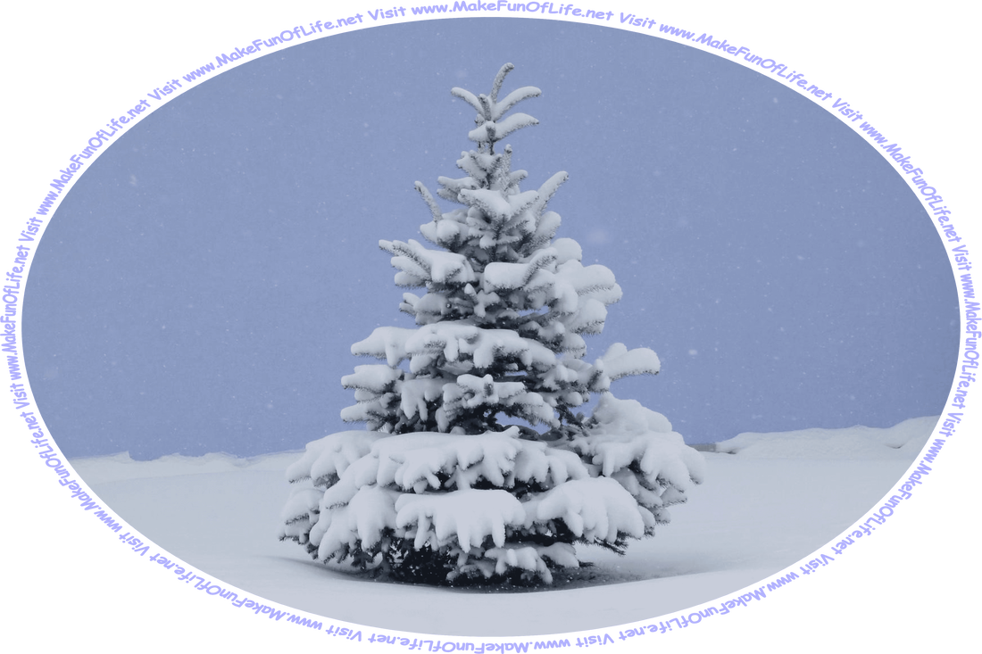 Wintertime picture of an evergreen tree with snow-covered branches, snow covered-ground, falling snow, an overcast sky, and the words, ‘Visit www.MakeFunOfLife.net.’