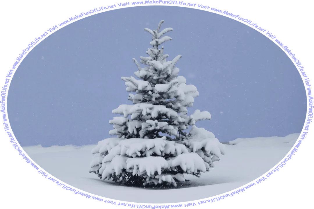 Wintertime picture of an evergreen tree with snow-covered branches, snow covered-ground, falling snow, an overcast sky, and the words, ‘Visit www.MakeFunOfLife.net.’