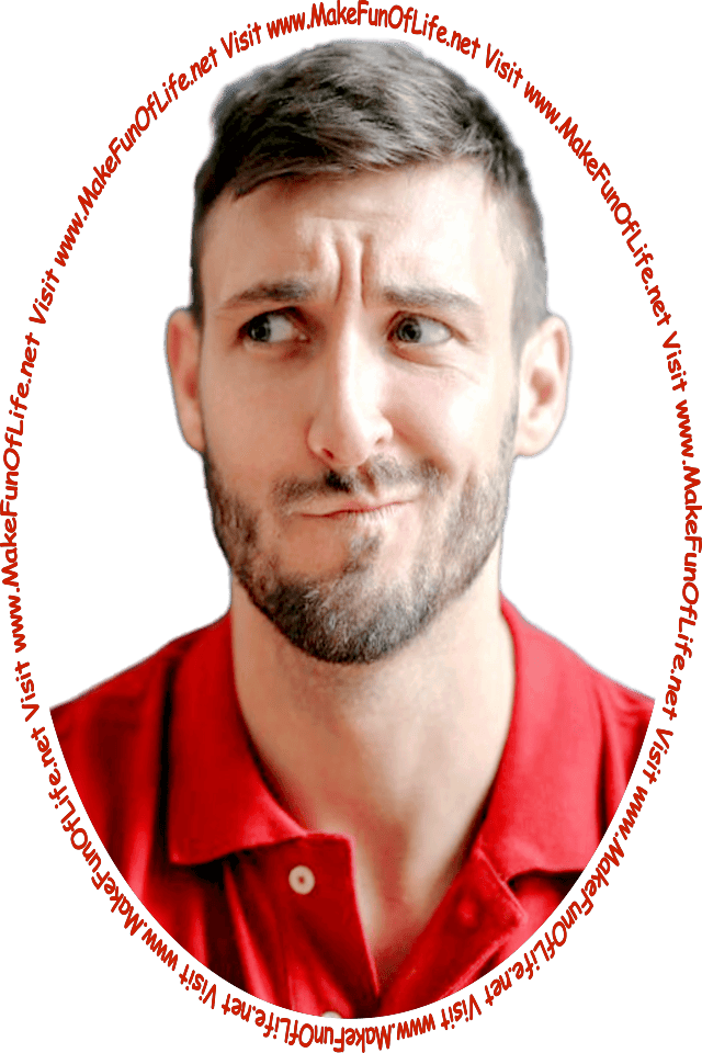 Picture of a man looking quizzically at the words and pictures on the website, and the words, 'Visit www.MakeFunOfLife.net.'