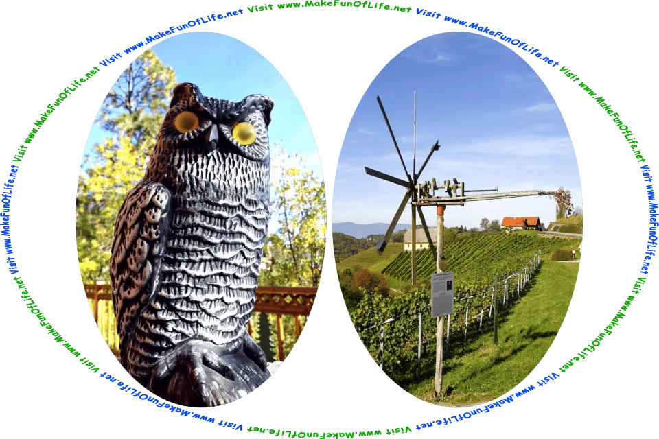 Picture of an artificial owl figure on a wooden deck and a wooden spinning noisemaker whirligig next to a crop field on a farm, and the words, Visit www.MakeFunOfLife.net.