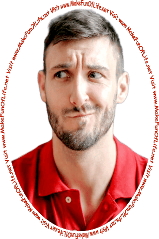 Picture of a man looking quizzically at the words and pictures on the website, and the words, Visit www.MakeFunOfLife.net.