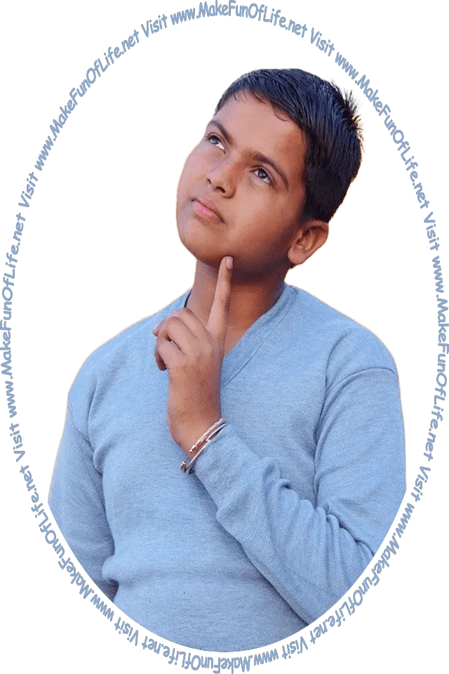 Picture of a boy looking at the words and pictures on the website, ‘Visit www.MakeFunOfLife.net.’