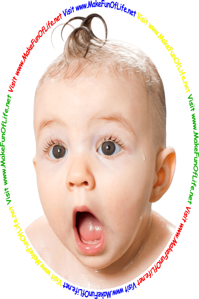Picture of a baby with a wide-eyed, open-mouth look of astonishment on its face, and the words, 'Visit www.MakeFunOfLife.net.'