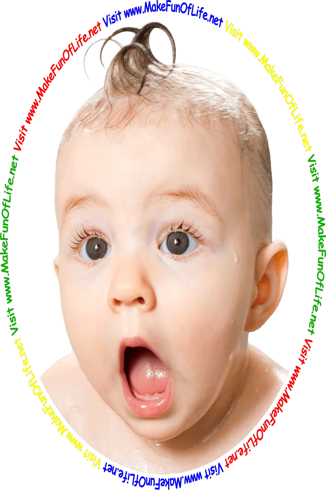 Picture of a baby with a wide-eyed, open-mouth look of astonishment on its face, and the words, 'Visit www.MakeFunOfLife.net.'