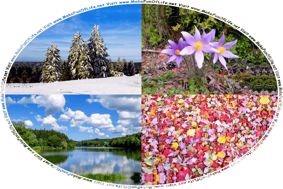 Picture of the four seasons, with fallen snow covering the ground and clinging to the branches of evergreen trees in Wintertime, three purplish flowers blooming in a dense woods in Springtime, a calm blue lake into which the blue sky and fluffy white clouds above are reflected like a mirror, surrounded by thick green leafy trees in Summertime, fallen leaves turned from green to reds and yellows in Autumntime, and the words, Visit www.MakeFunOfLife.net.