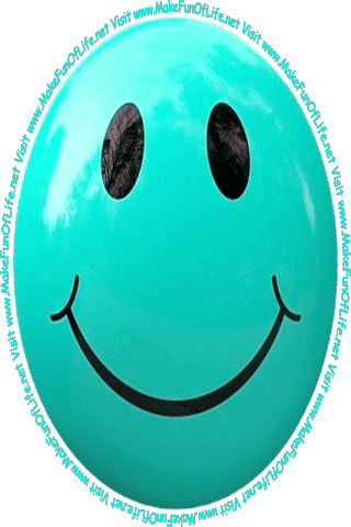 Picture of a smiley face and the words, ‘Visit www.MakeFunOfLife.net.’