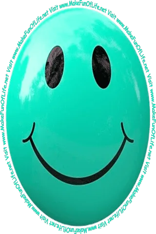 Picture of a smiley face and the words, ‘Visit www.MakeFunOfLife.net.’