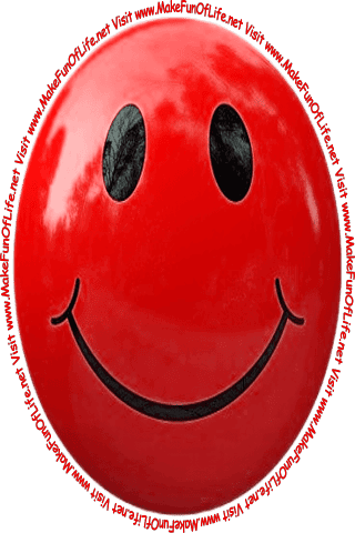 Picture of a smiley face and the words, ‘Visit www.MakeFunOfLife.net.’
