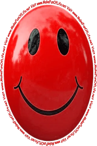 Picture of a smiley face and the words, ‘Visit www.MakeFunOfLife.net.’