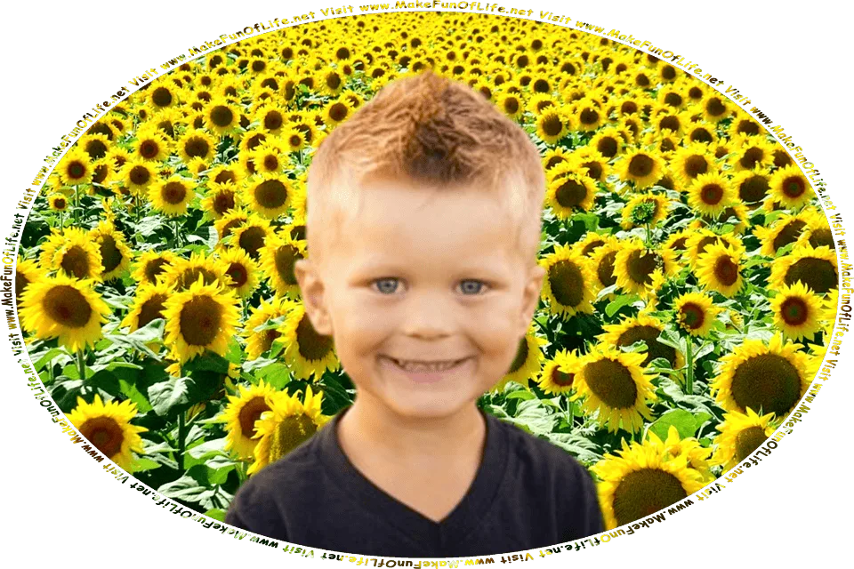Picture of a happy smiling boy standing in a field of large yellow sunflowers on a Summer day, and the words, Visit www.MakeFunOfLife.net.