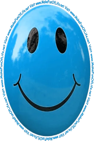 Picture of a medium light blue smiley face and the words, 'Visit www.MakeFunOfLife.net.'