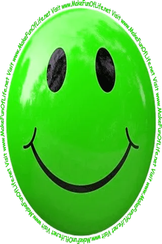 Picture of a light green smiley face and the words, 'Visit www.MakeFunOfLife.net.'