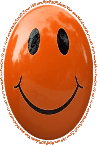 Picture of a brown smiley face and the words, 'Visit www.MakeFunOfLife.net.'