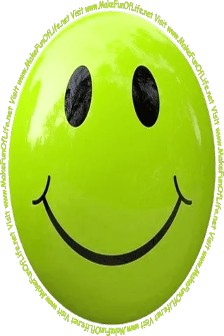 Picture of a light yellowish-green smiley face and the words, 'Visit www.MakeFunOfLife.net.'