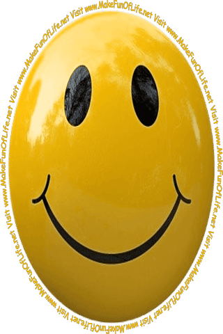 Picture of a smiley face and the words, ‘Visit www.MakeFunOfLife.net.’