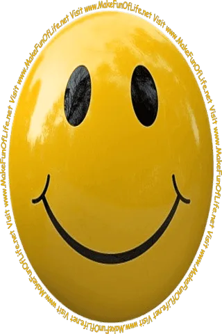 Picture of a golden-brown smiley face and the words, 'Visit www.MakeFunOfLife.net.'