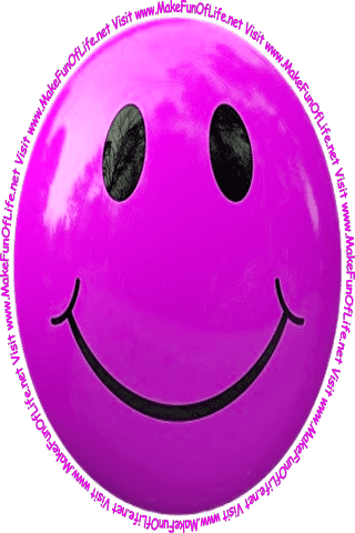Picture of a smiley face and the words, ‘Visit www.MakeFunOfLife.net.’