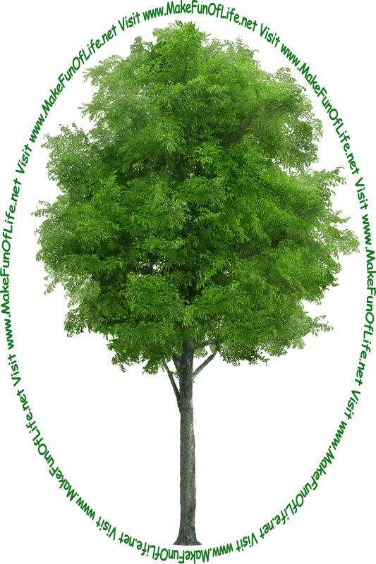 Picture of a tall green leafy tree and the words, 'Visit www.MakeFunOfLife.net.'