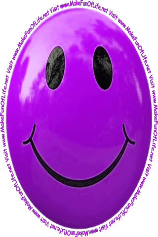 Picture of a purple smiley face and the words, 'Visit www.MakeFunOfLife.net.'