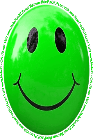 Picture of a smiley face and the words, ‘Visit www.MakeFunOfLife.net.’