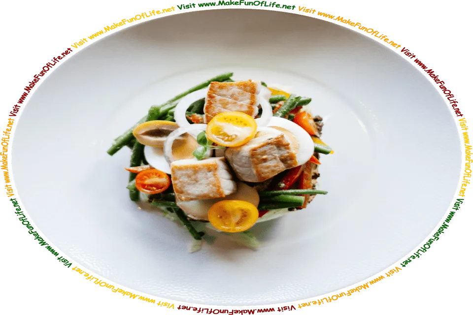 Picture of a small plate of food, with chicken, green beans, tomatoes, bell peppers, a boiled egg, and onions, and the words, ‘Visit www.MakeFunOfLife.net.’