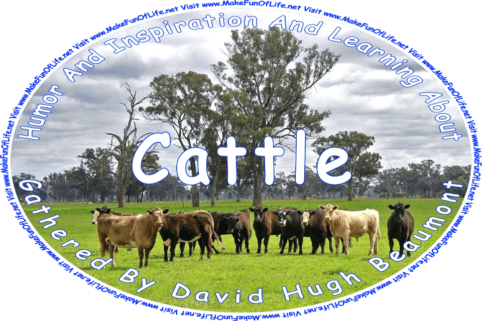 Picture of a herd of cattle in a green grassy pasture, and the words, ‘Cattle Gathered By David Hugh Beaumont - Visit www.MakeFunOfLife.net.’