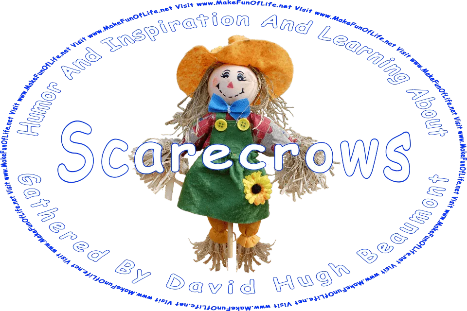 Picture of a happy smiling straw-stuffed scarecrow doll in a green felt dress and an orange felt hat, and the words, Visit www.MakeFunOfLife.net.