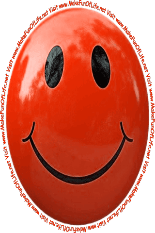 Picture of a smiley face and the words, ‘Visit www.MakeFunOfLife.net.’