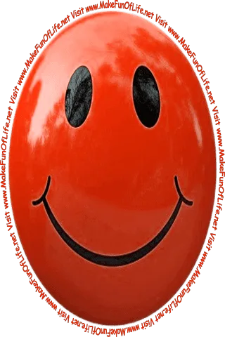 Picture of a dark blue smiley face and the words, 'Visit www.MakeFunOfLife.net.'
